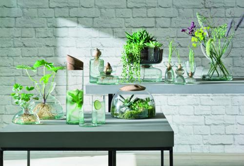 LSA glassware